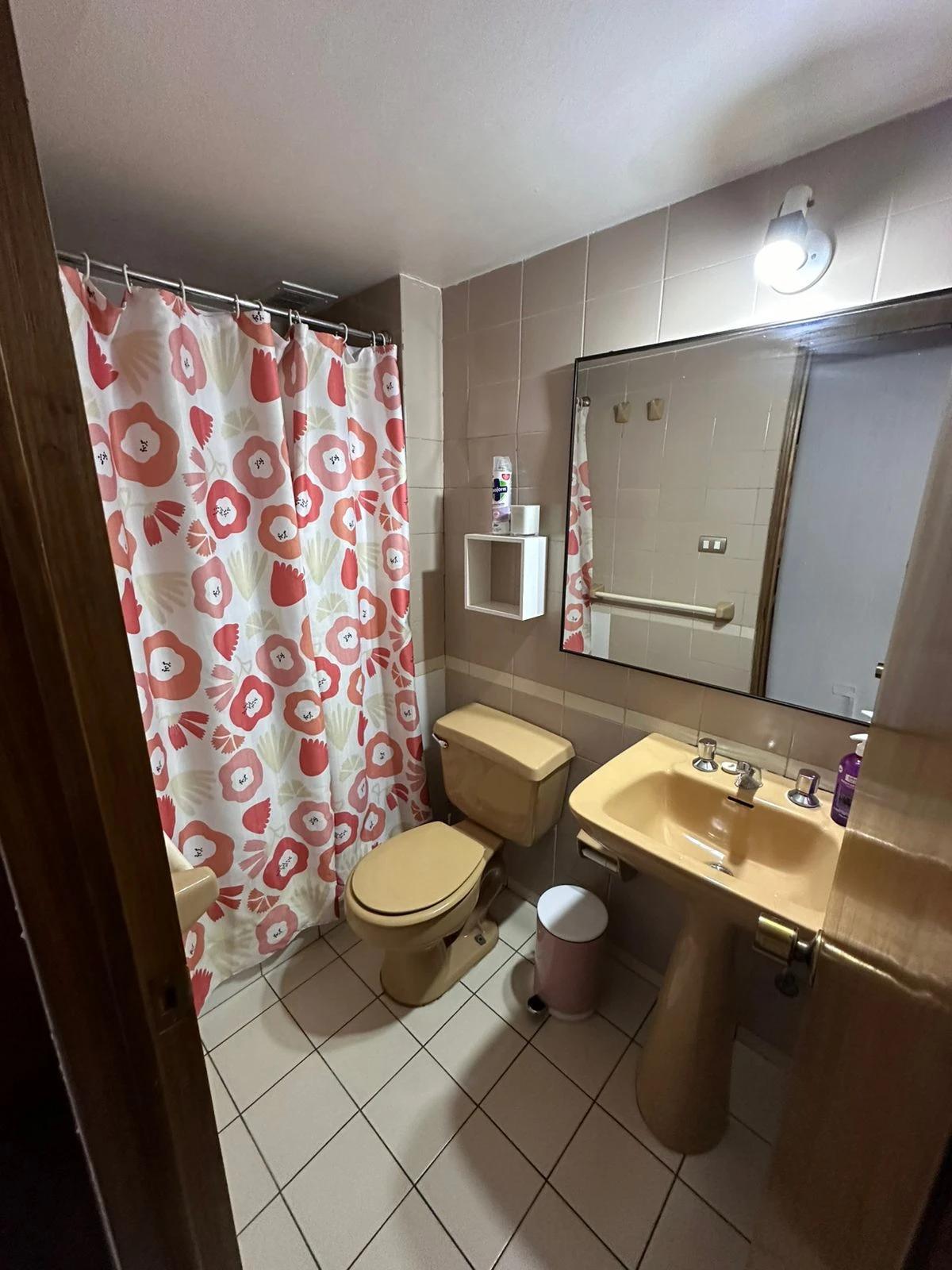 Arriendo Temporal Departamento 3D 2B E - Providencia