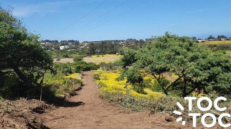 terreno en venta en Puchuncaví