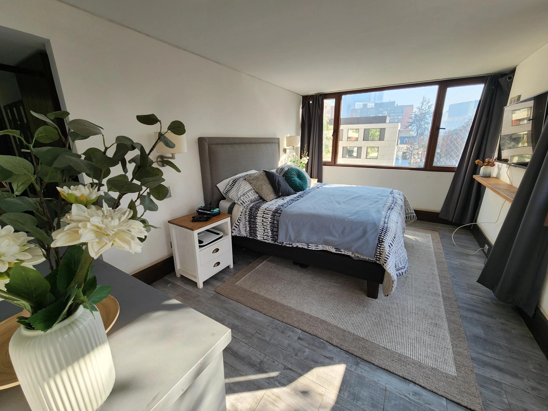 Venta Usado Departamento 3D 2B E B - Providencia