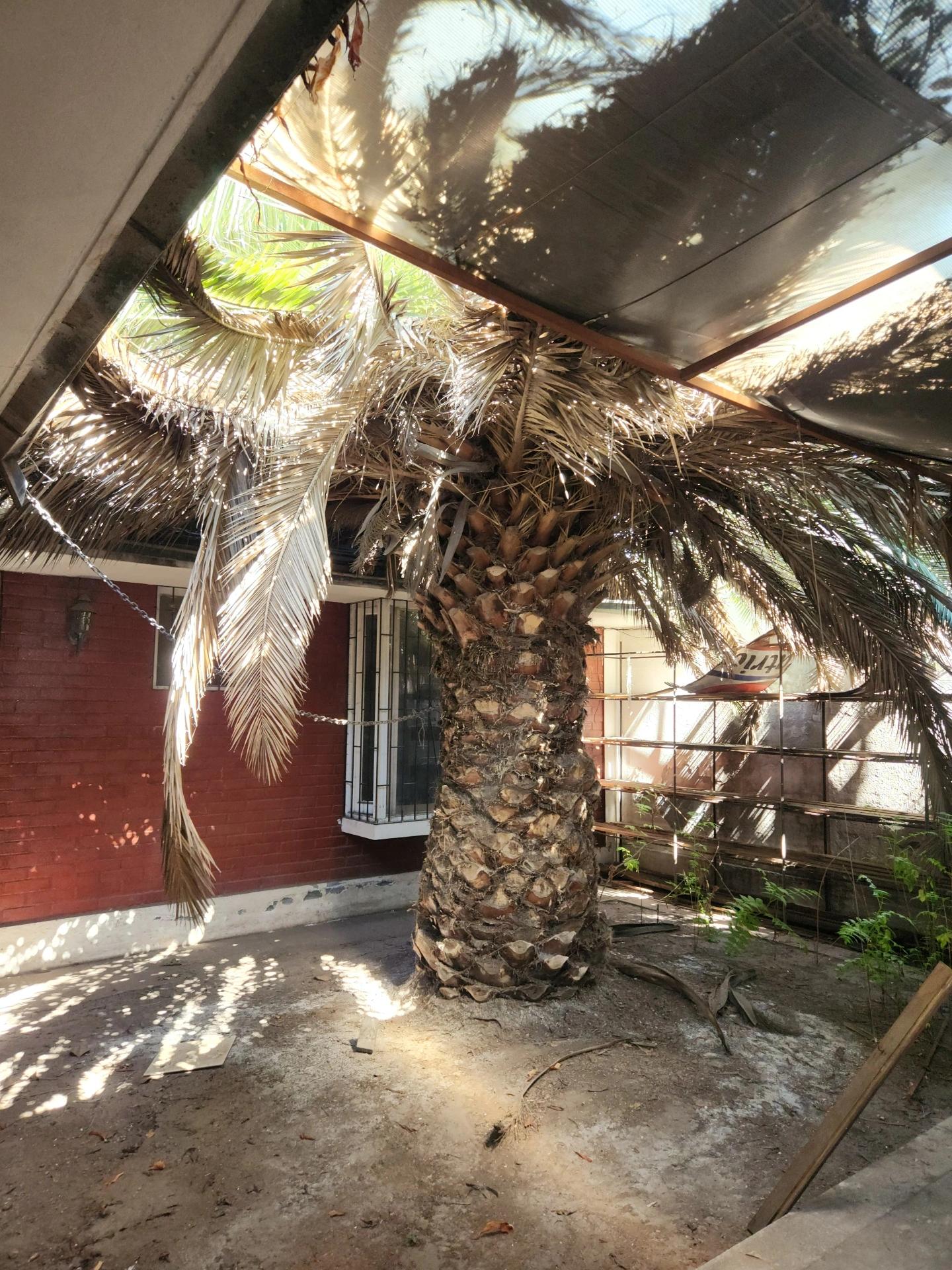 Venta Usado Casa 8D 4B E - &Ntilde;u&ntilde;oa