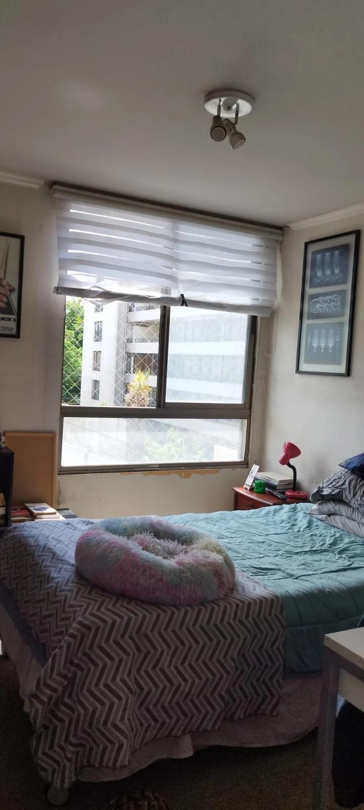 Arriendo Departamento 2D 2B E B - Providencia