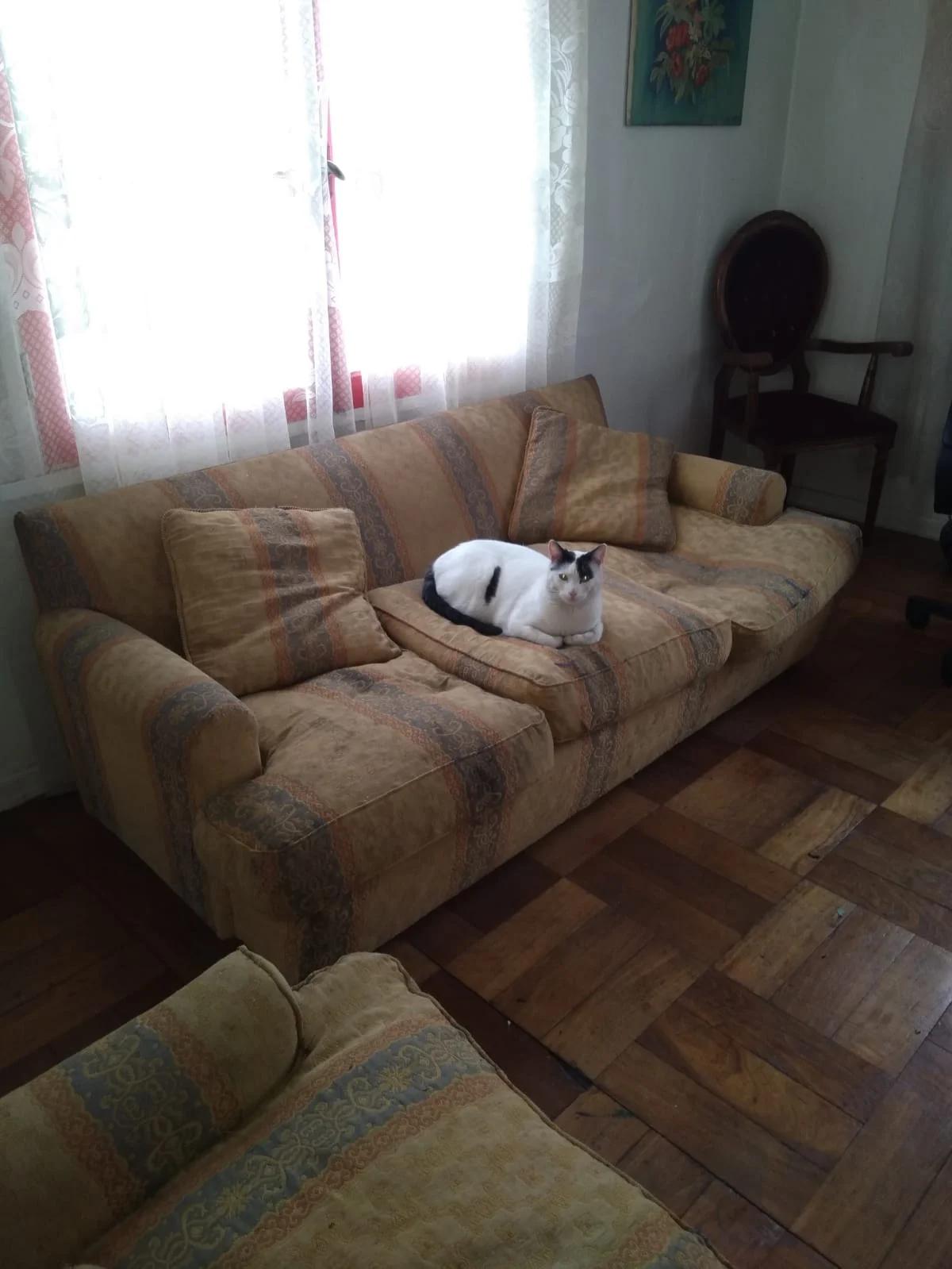 Venta Usado Casa 9D 6B - &Ntilde;u&ntilde;oa