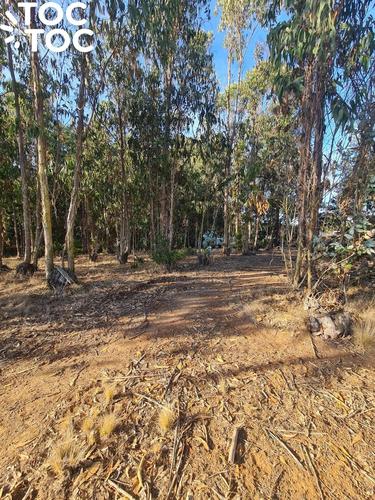 terreno en venta en Algarrobo