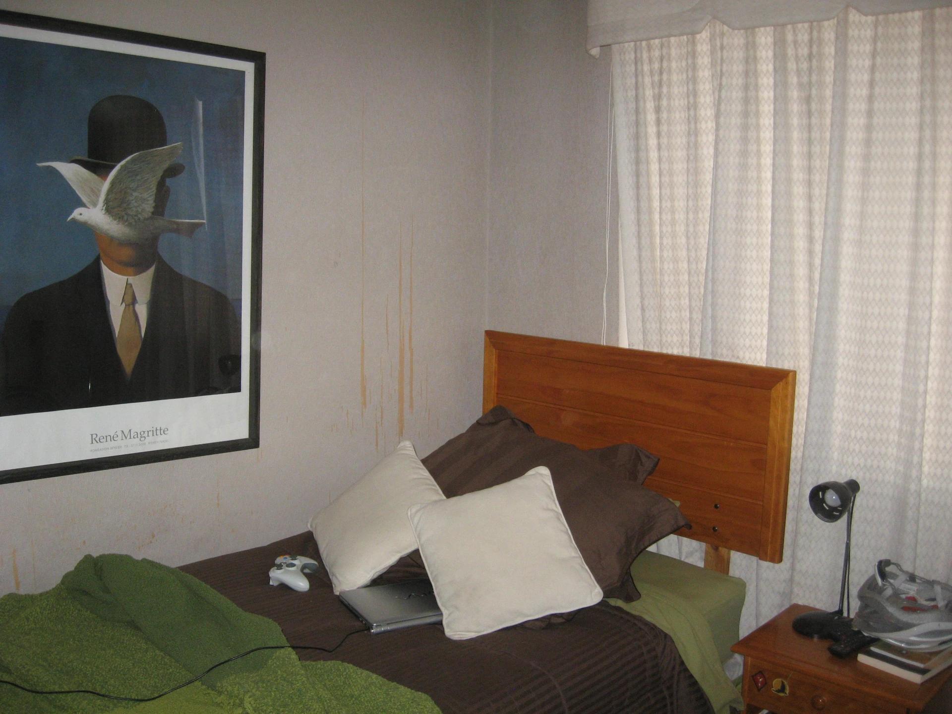 Arriendo Departamento 2D 2B E B - Providencia