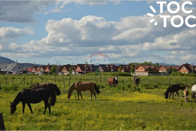 terreno en venta en Molina