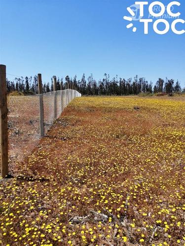 terreno en venta en Cauquenes