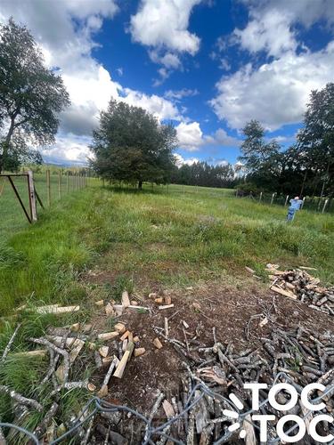 terreno en venta en Quilleco