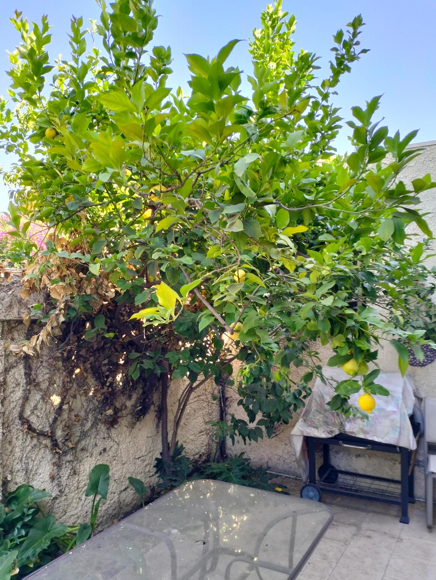 Venta Usado Casa 5D 5B E - Las Condes