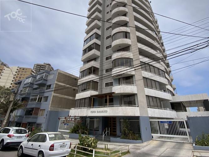 departamento en arriendo en Antofagasta