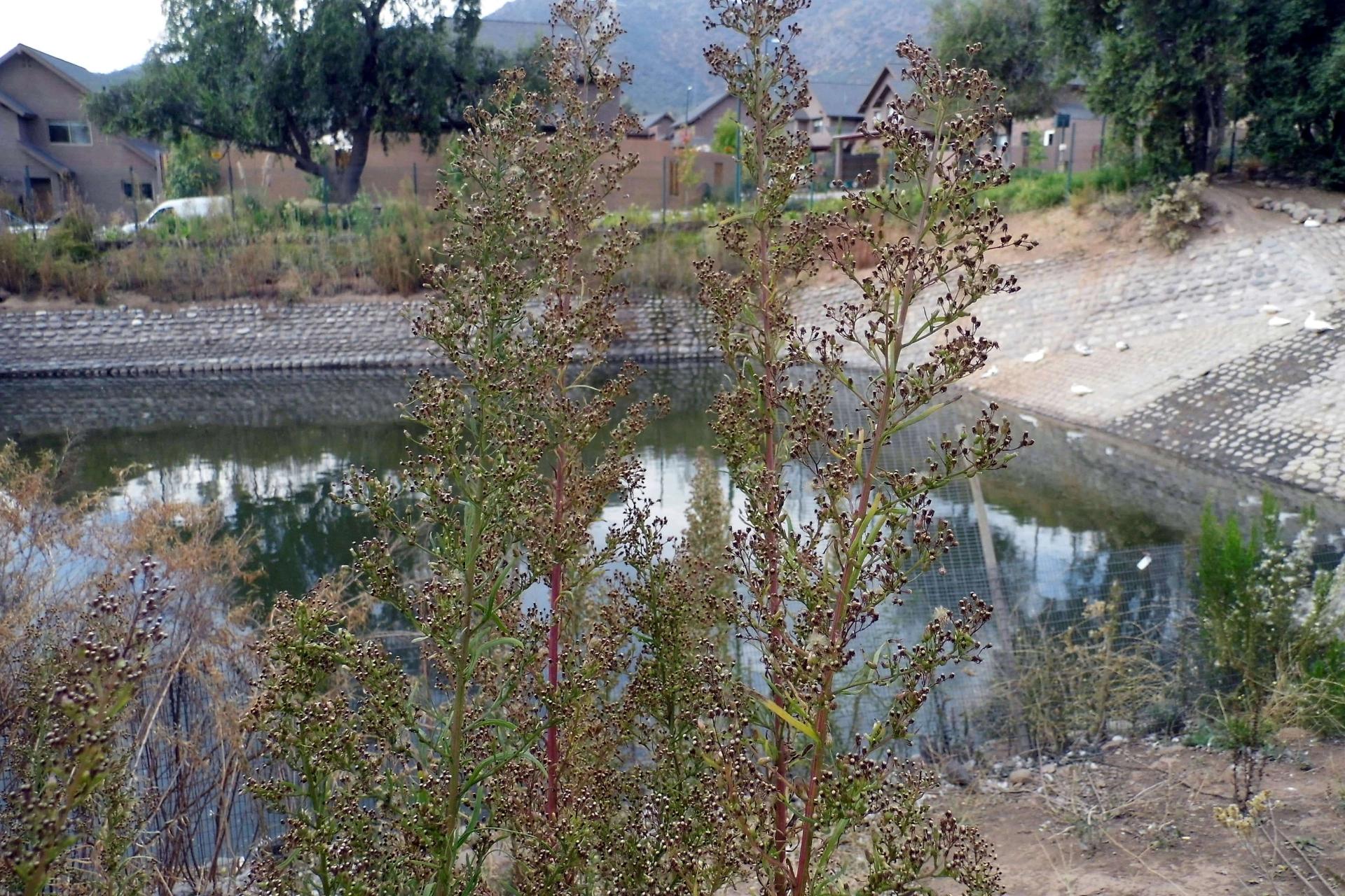 Venta Usado Departamento 2D 2B E B - Las Condes