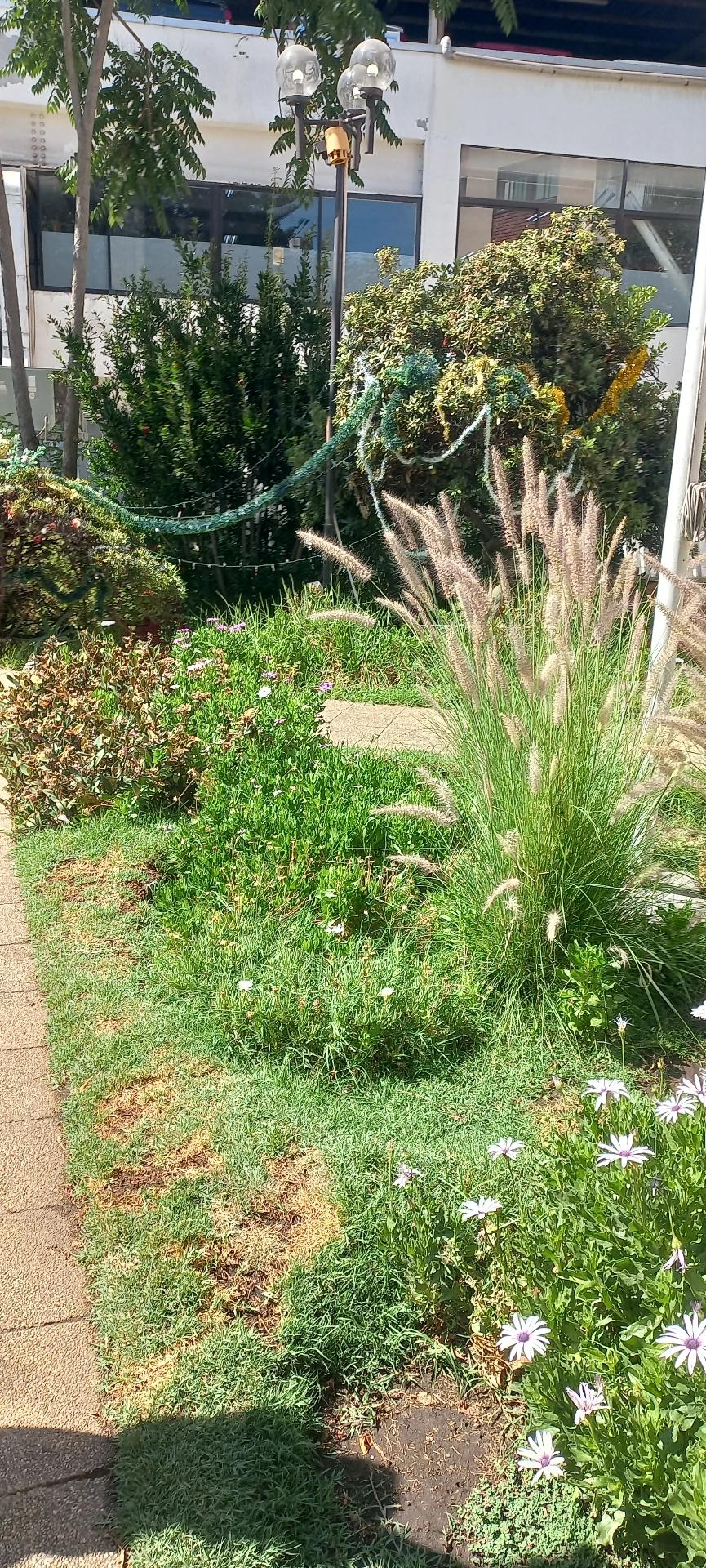 Arriendo Departamento 2D 1B E - Providencia