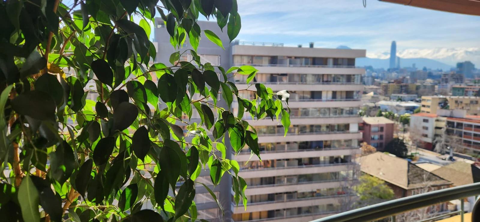 Arriendo Departamento 2D 2B E - Providencia