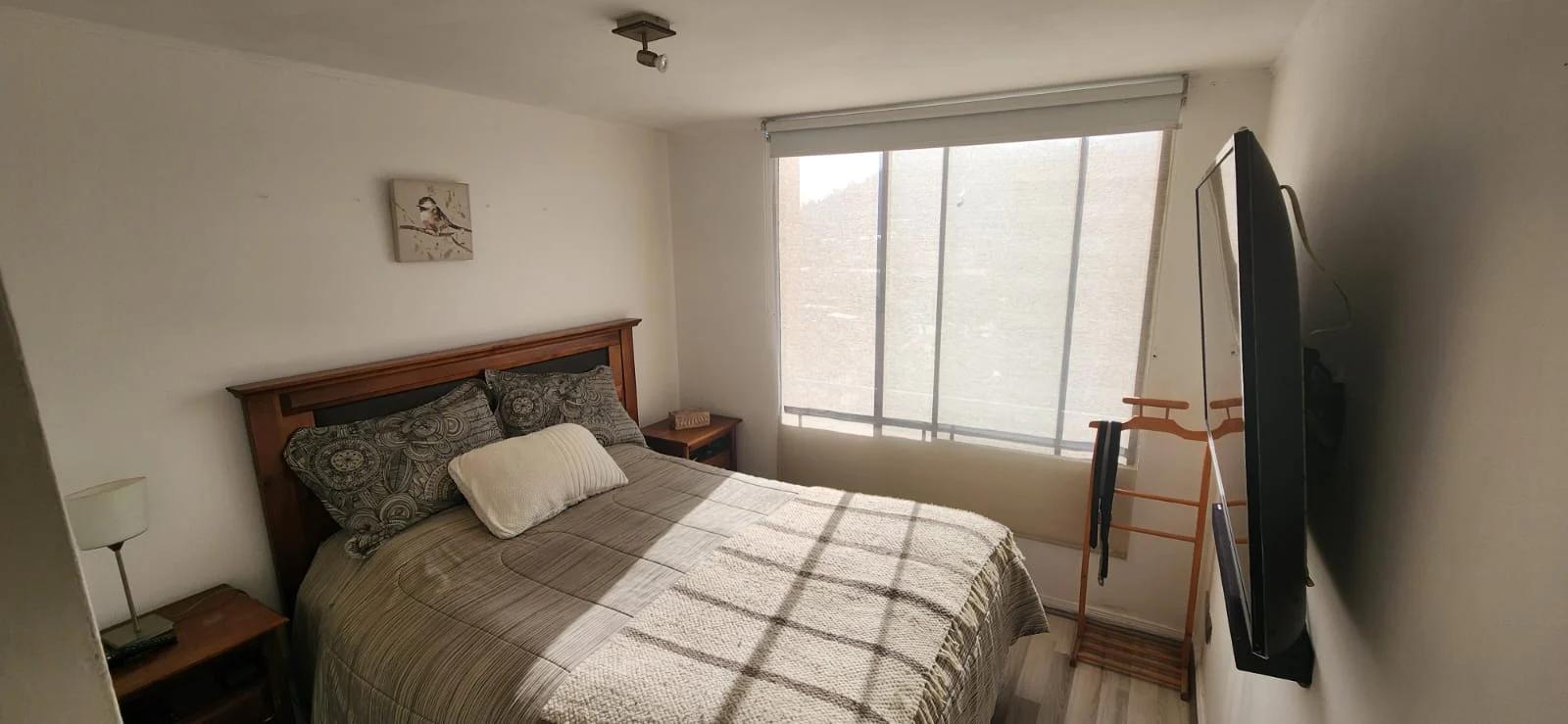 Arriendo Departamento 2D 2B E - Providencia