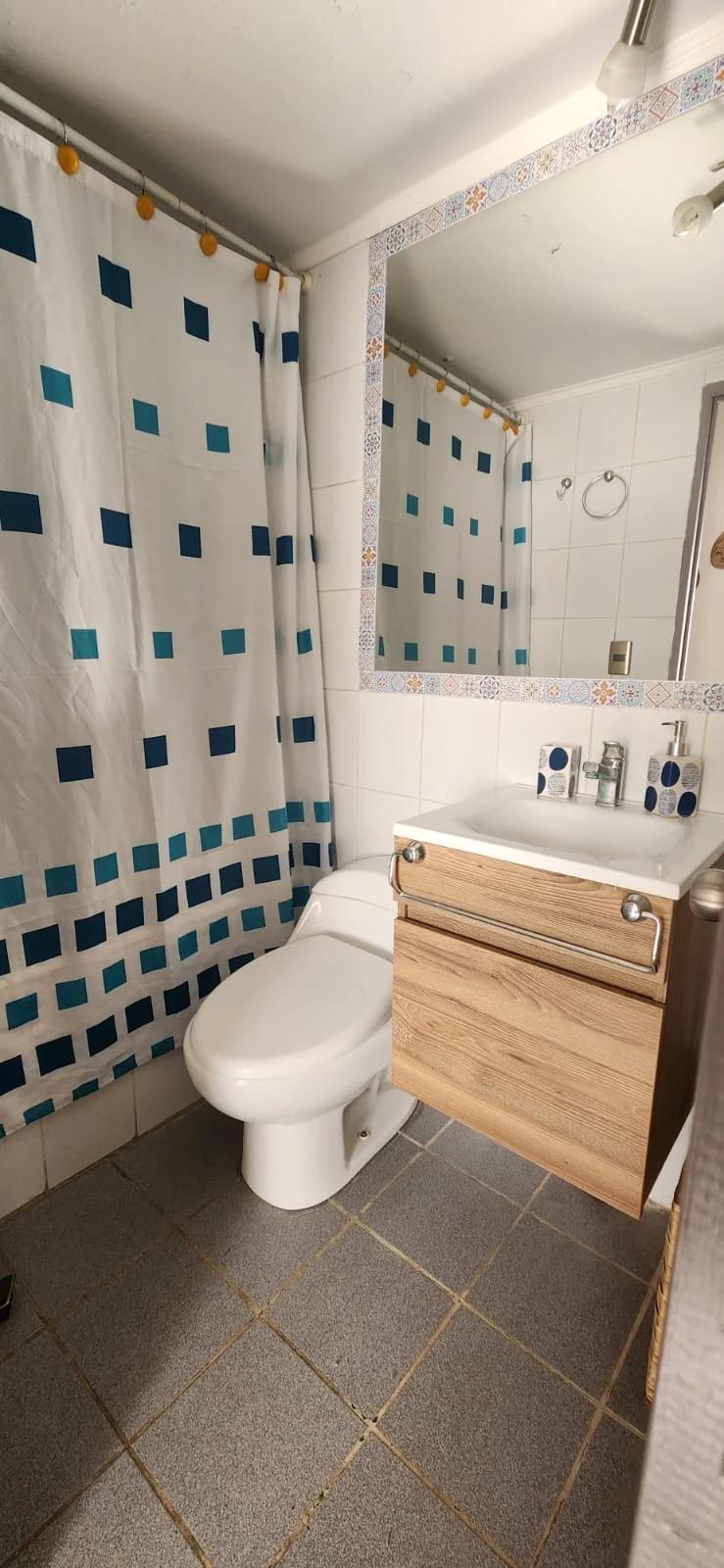 Arriendo Departamento 2D 2B E - Providencia