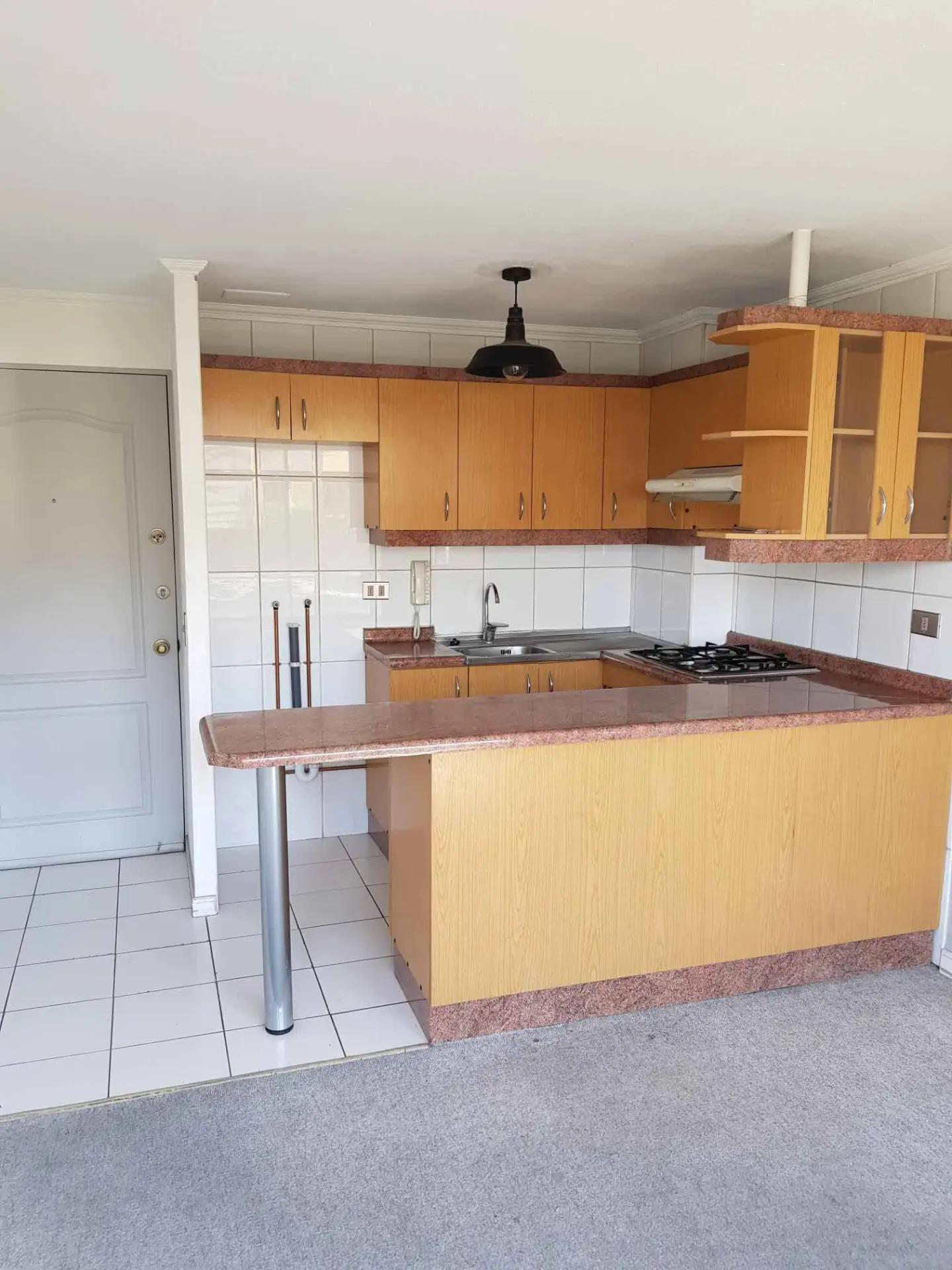 Arriendo Departamento 1D 1B E B - Providencia