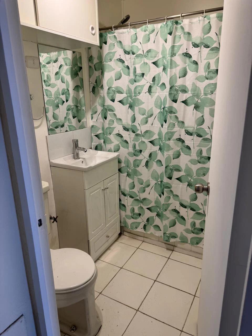 Venta Usado Departamento 3D 2B - Providencia