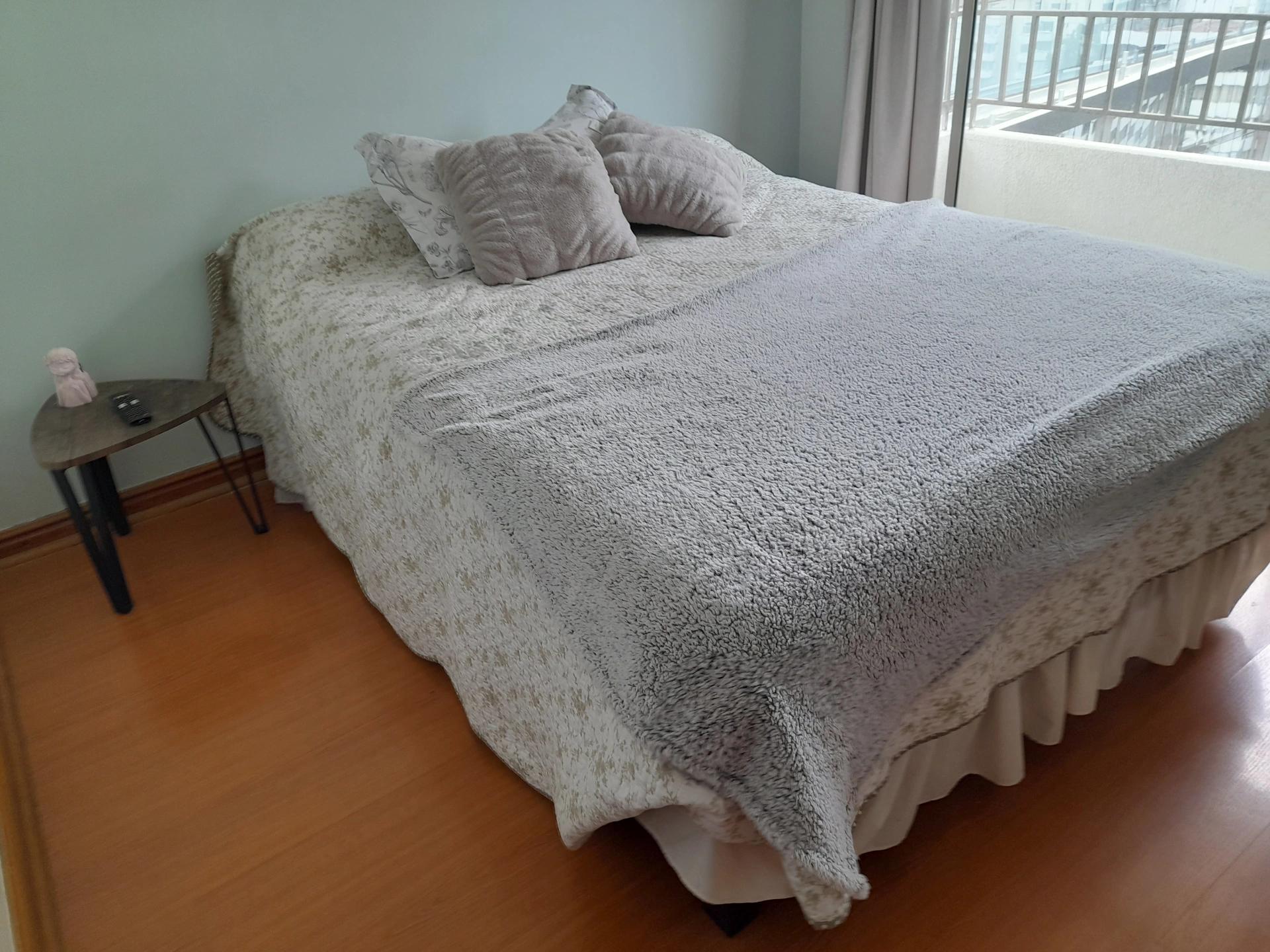 Arriendo Departamento 1D 1B E - Providencia