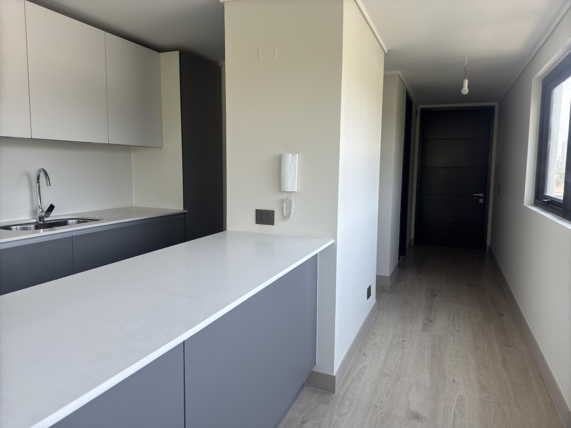 Arriendo Departamento 3D 2B E B - Providencia