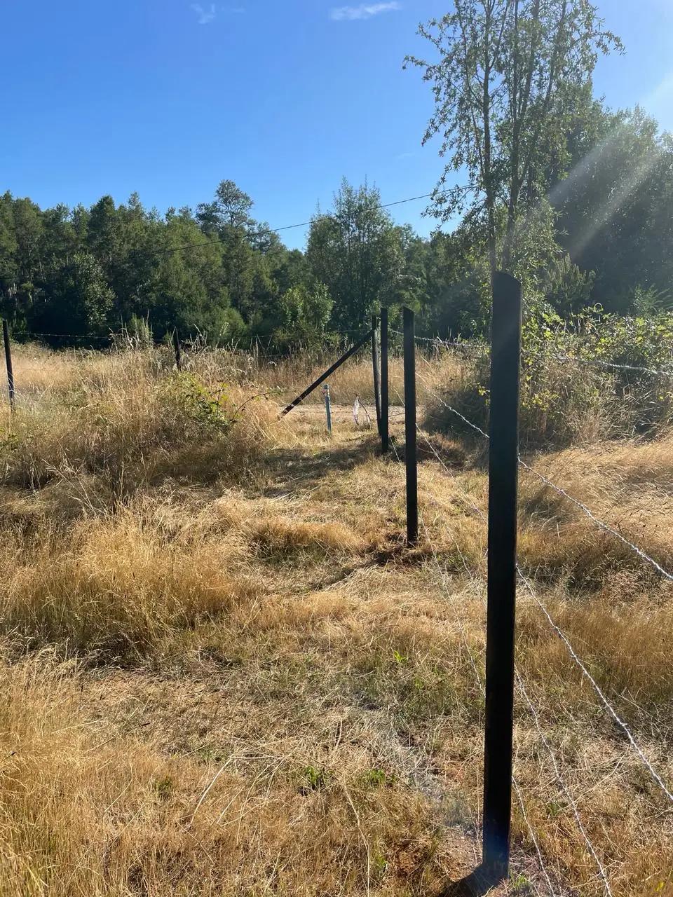 Venta de Parcela sector Arique