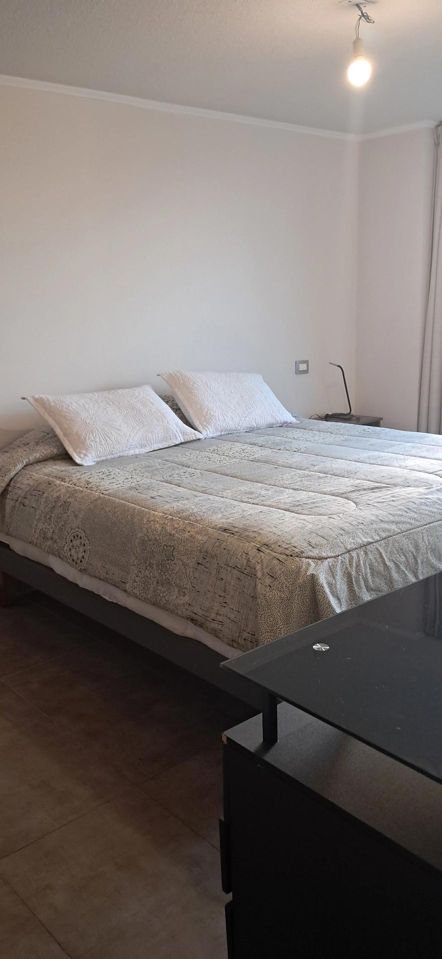 Arriendo Departamento 2D 2B E - Providencia