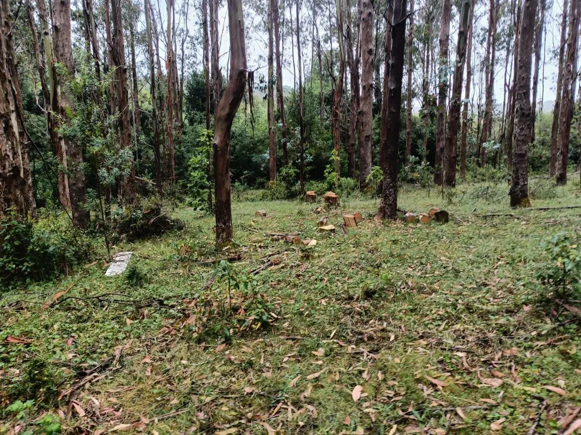 Venta de parcela en Pitrólco