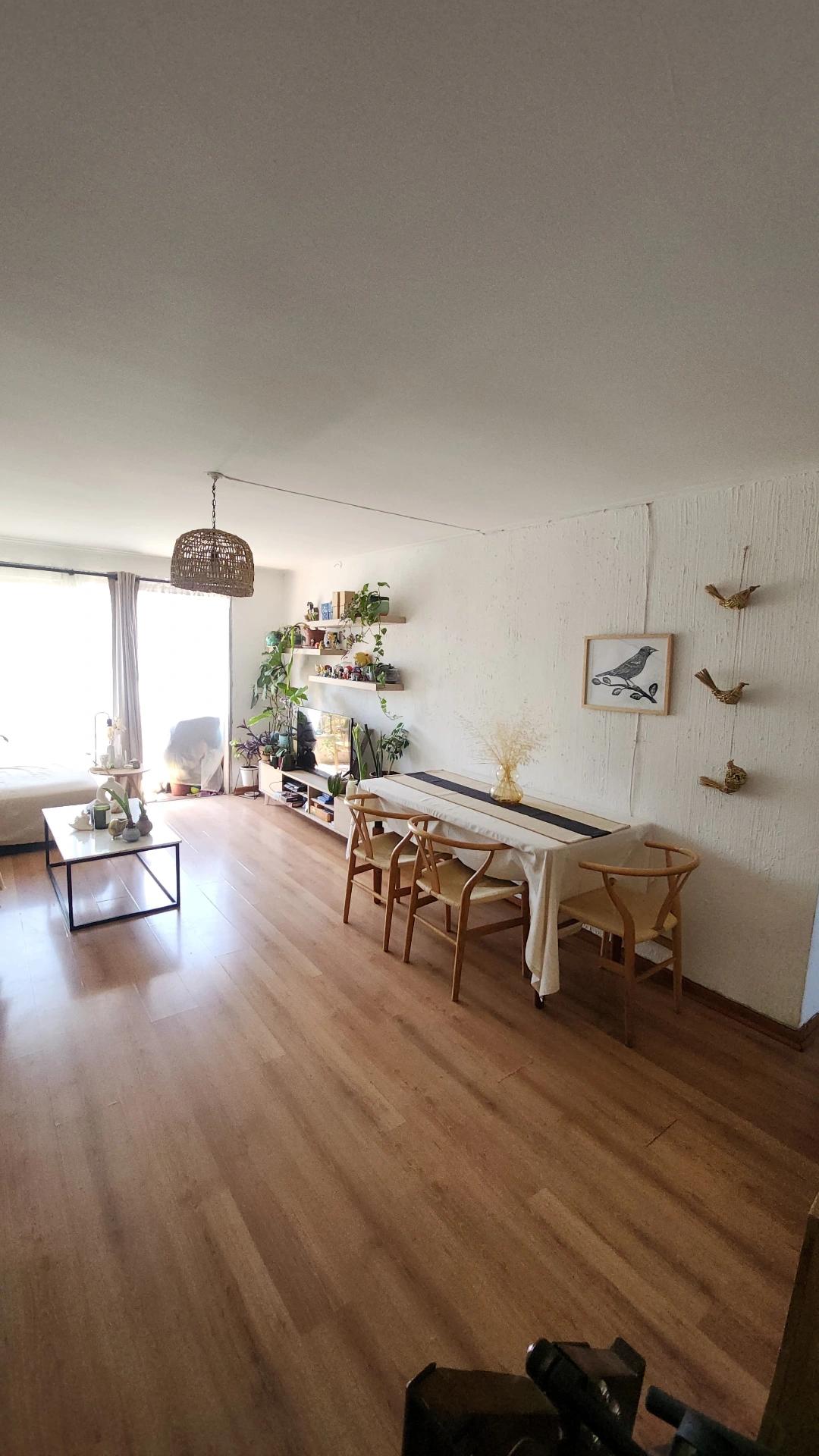 Arriendo Departamento 3D 2B - Providencia