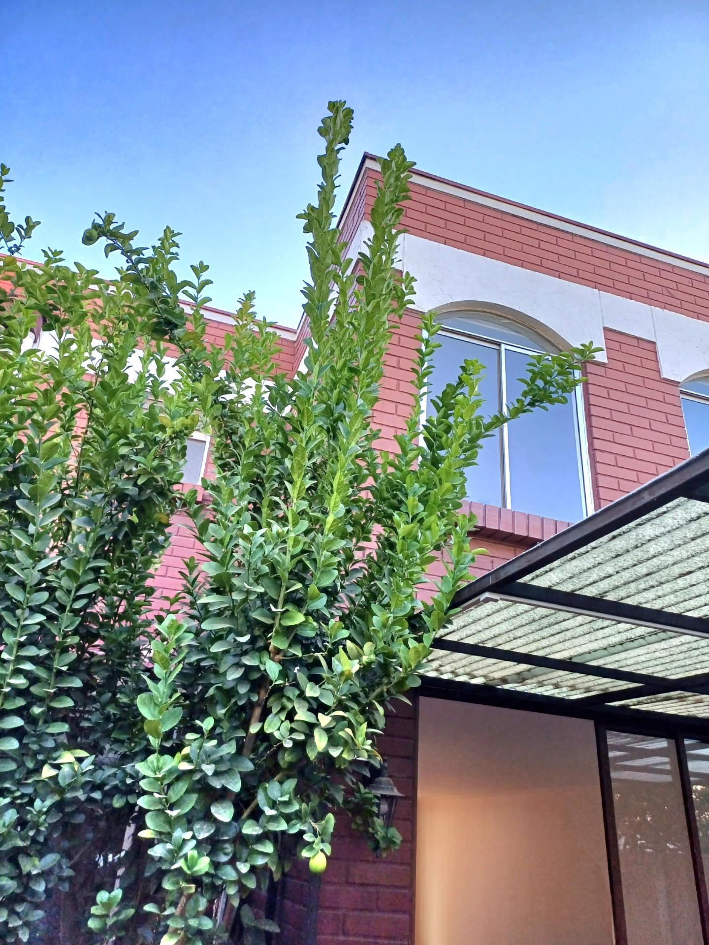 Venta Usado Casa 4D 3B E - La Reina