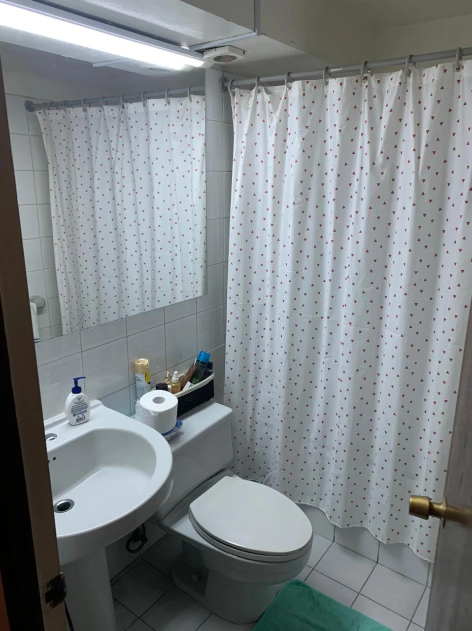 Arriendo Departamento 2D 1B E B - Providencia