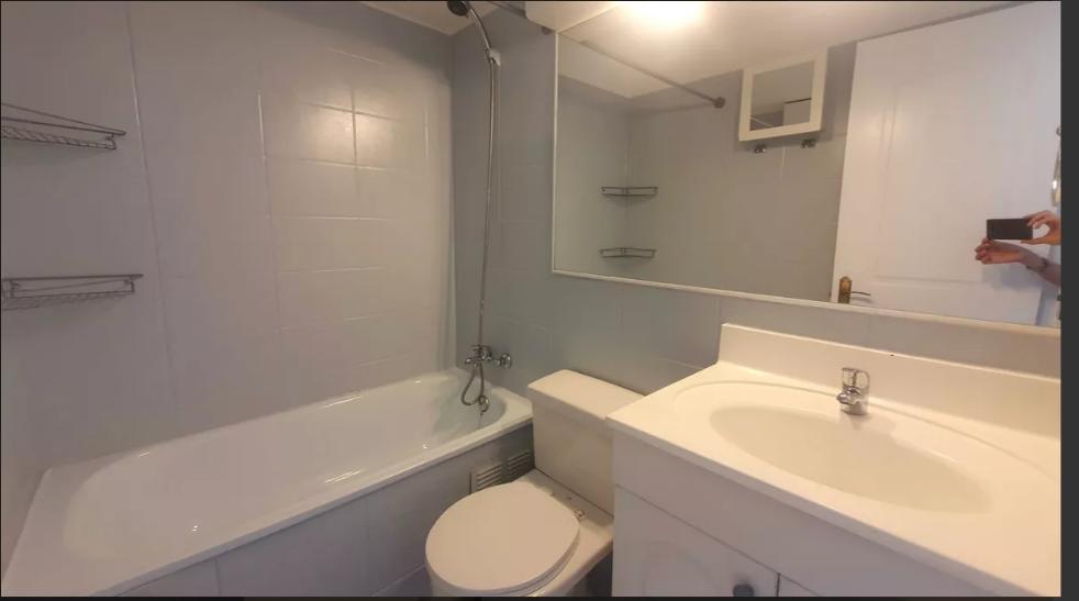 Arriendo Departamento 1D 1B E B - Providencia