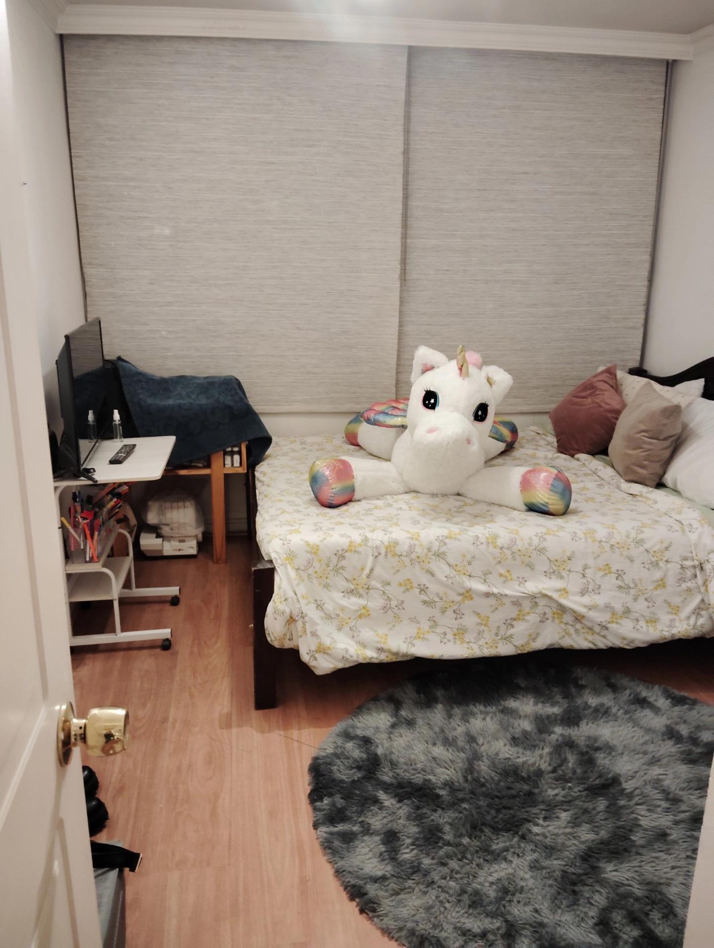 Venta Usado Departamento 2D 2B - Las Condes