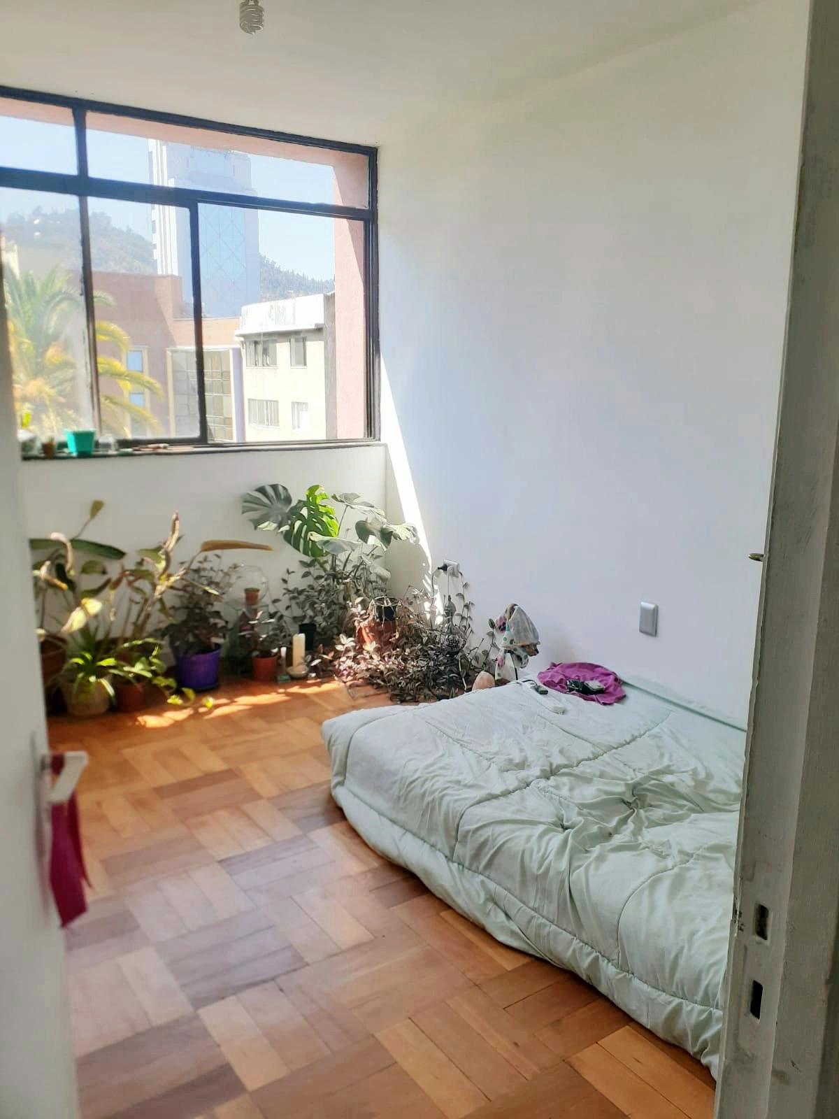 Arriendo Departamento 3D 1B - Providencia