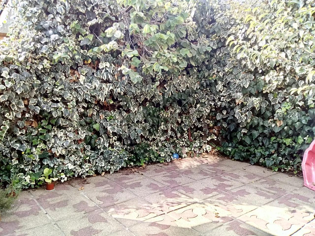 Venta Usado Casa 4D 2B - La Reina