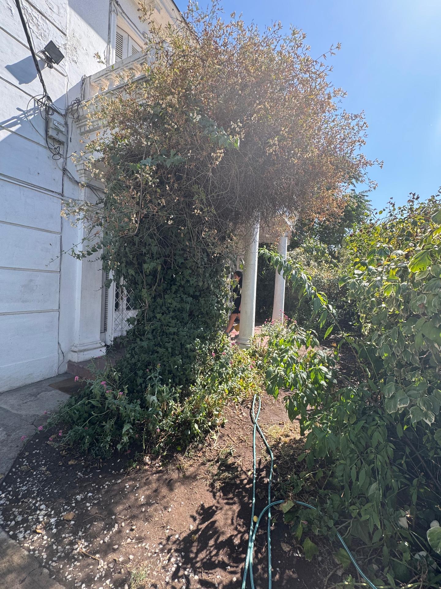 Venta Usado Casa 3D 2B - &Ntilde;u&ntilde;oa