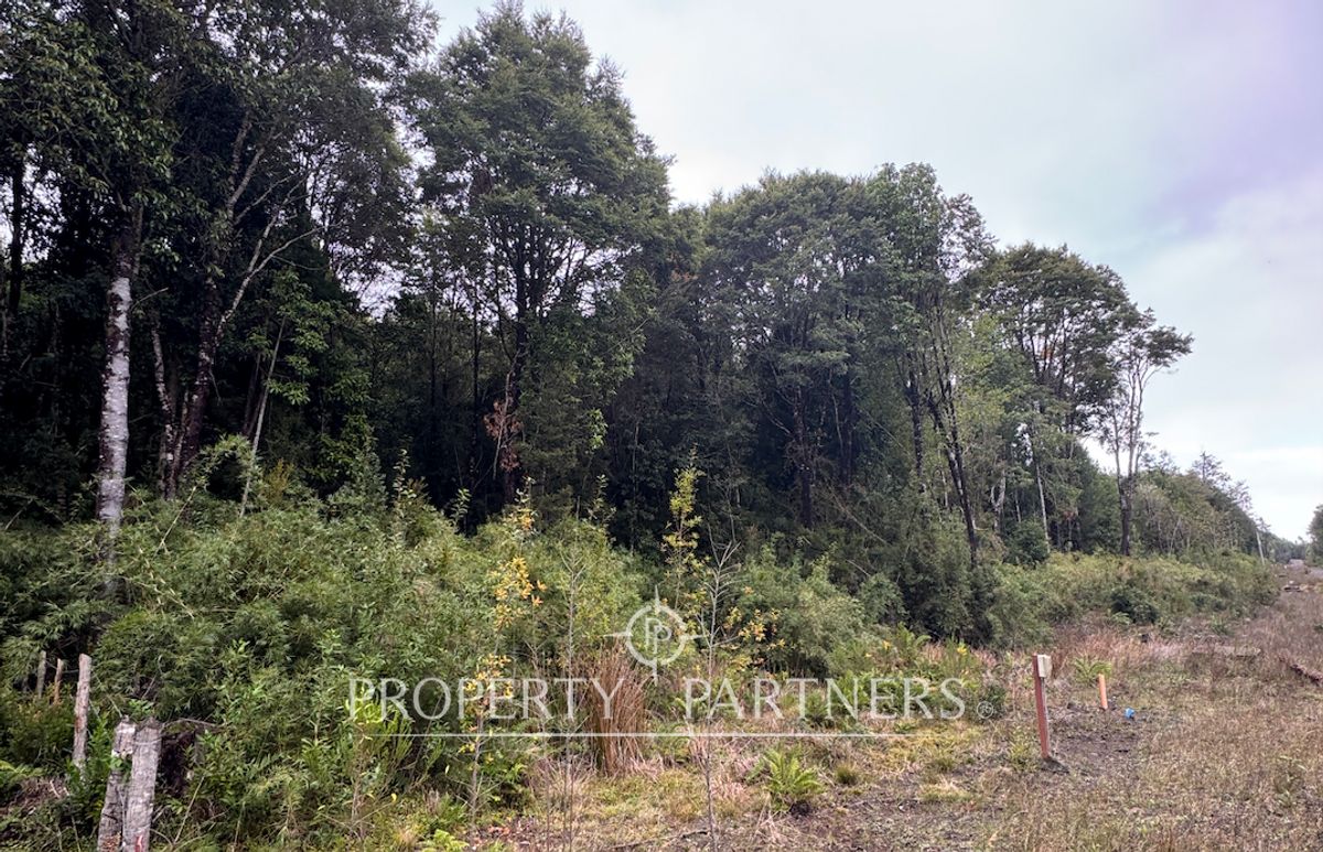 Vive en armonía con la naturaleza en «Parque Tres