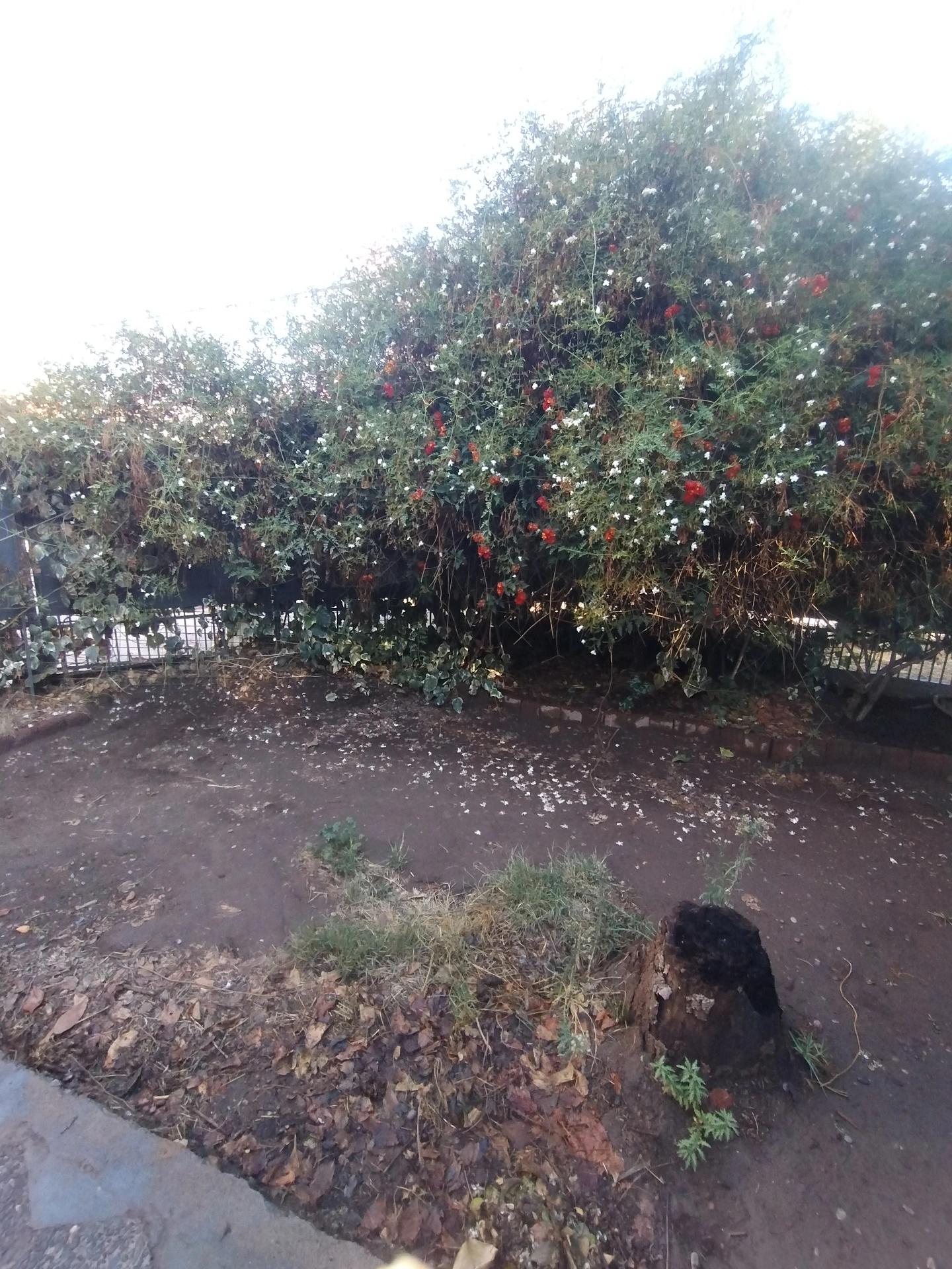 Venta Casa antigiua remodelada 2D 1B E - Ñuñoa
