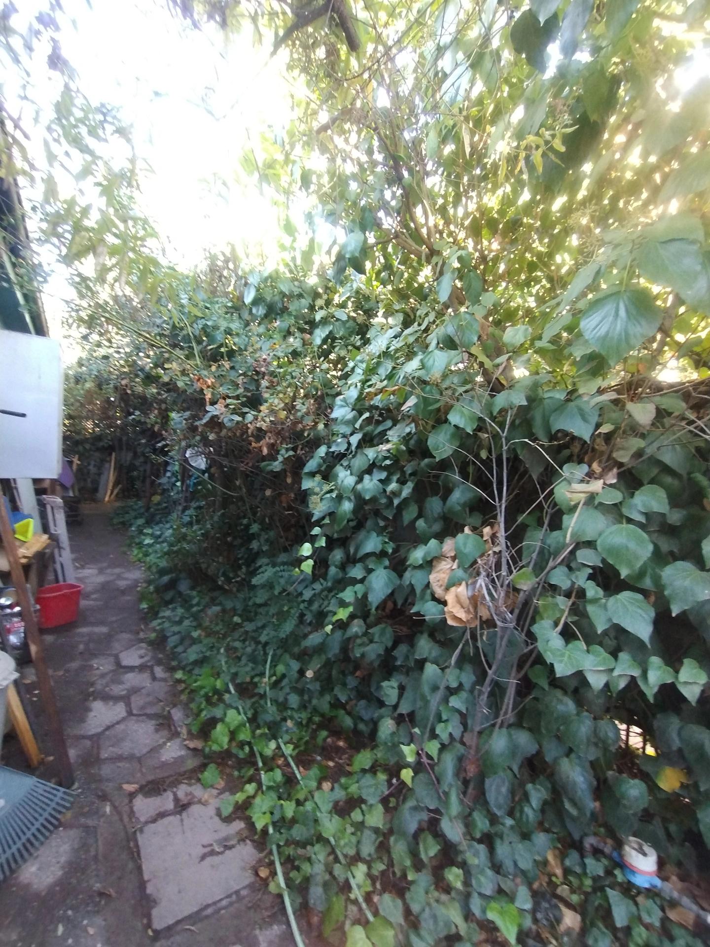 Venta Casa antigiua remodelada 2D 1B E - Ñuñoa