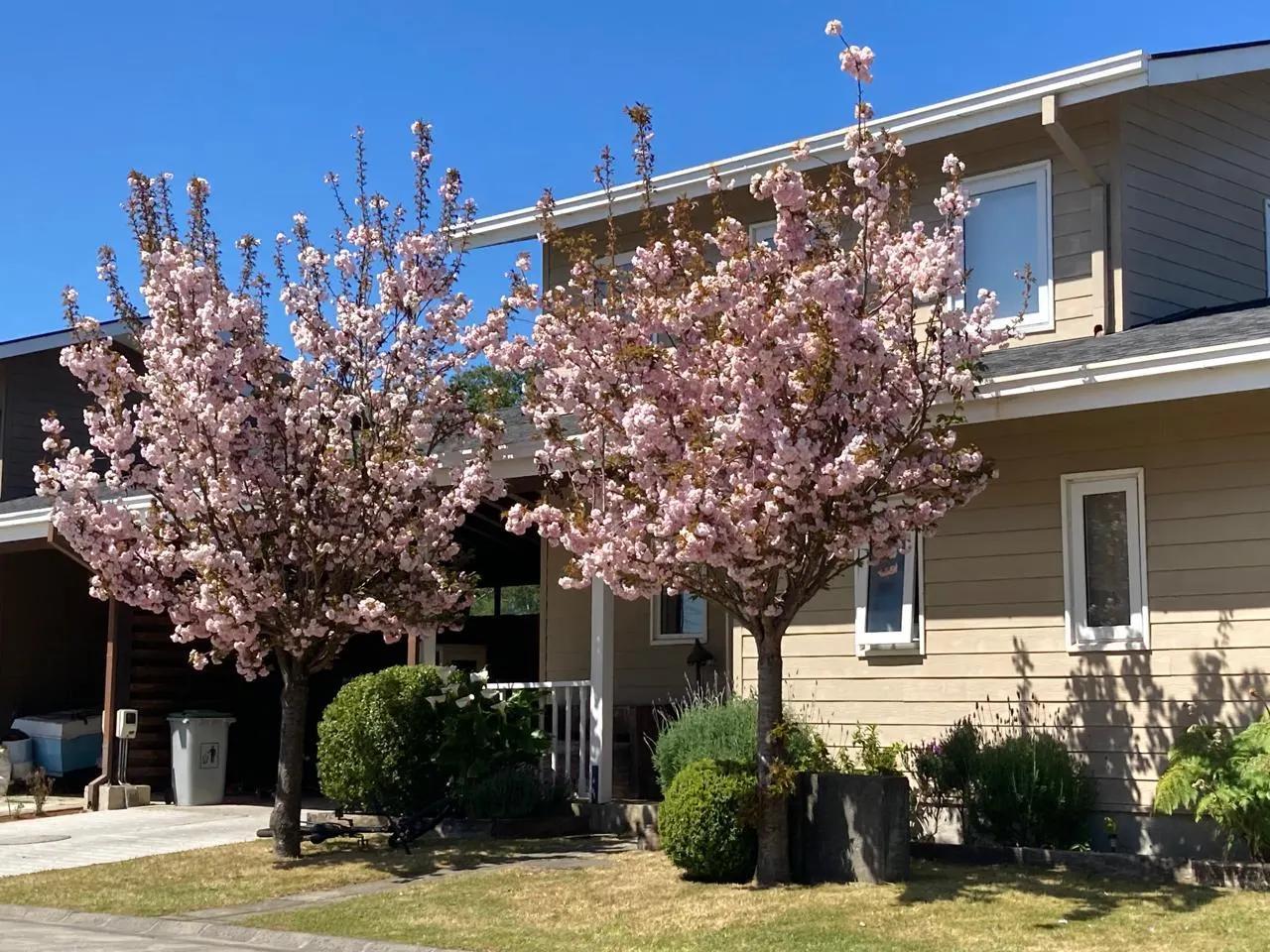 Venta De Cómoda Casa Sector El Bayo