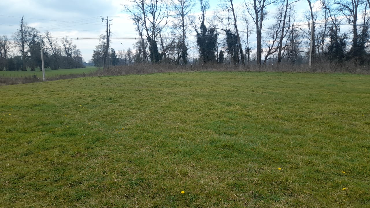 VIVIR EN EL SUR, UN LUJO DE VIDA, VIVE EN PICHIL