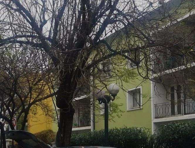 Venta Antiguo Departamento 2D 2B - Providencia