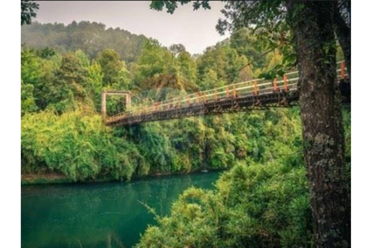 Venta Parcelas Los Pescadores / Curacautín