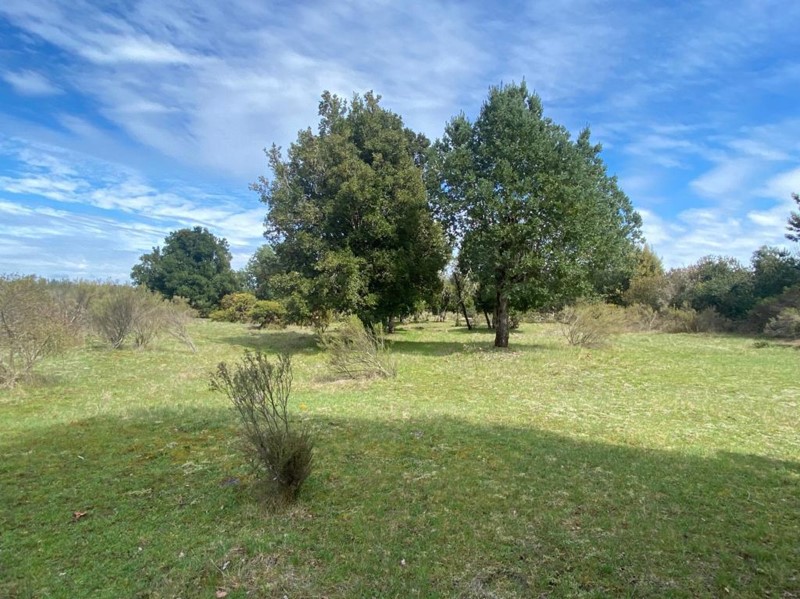 Venta de Parcela con Laguna propia y orilla de Rio