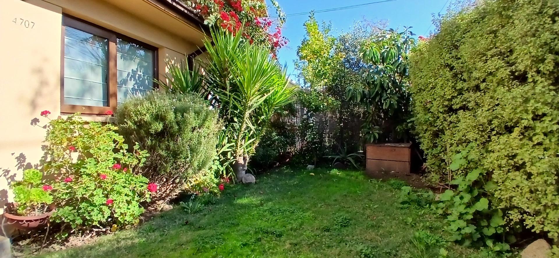 Venta Casa Negocio 3D 2B E - &Ntilde;u&ntilde;oa