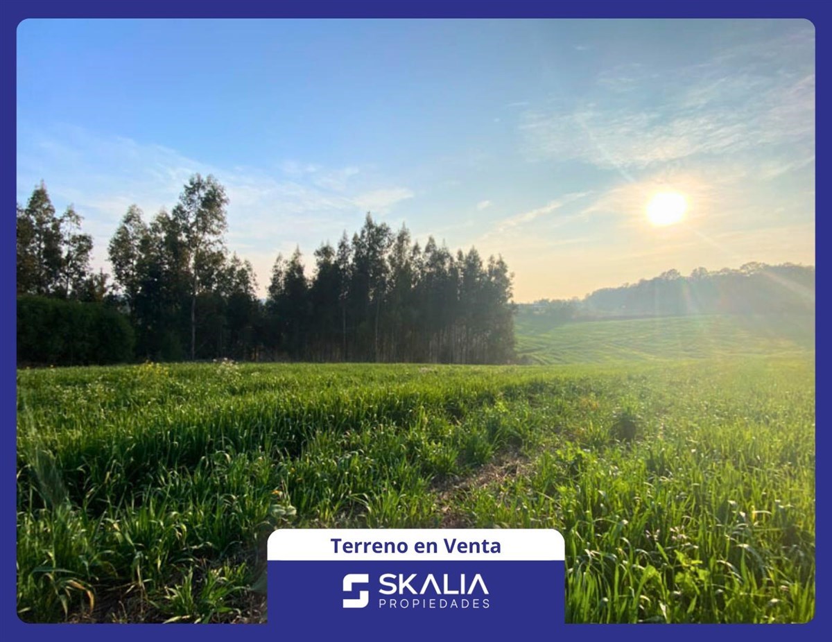 Venta SITIO 5.000 m Temuco Proyecto Parque Cumbres