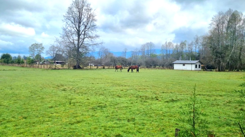 LANCO-PANGUIPULLI, FABULOSO  SITIO DE 5000 MTS2 EN