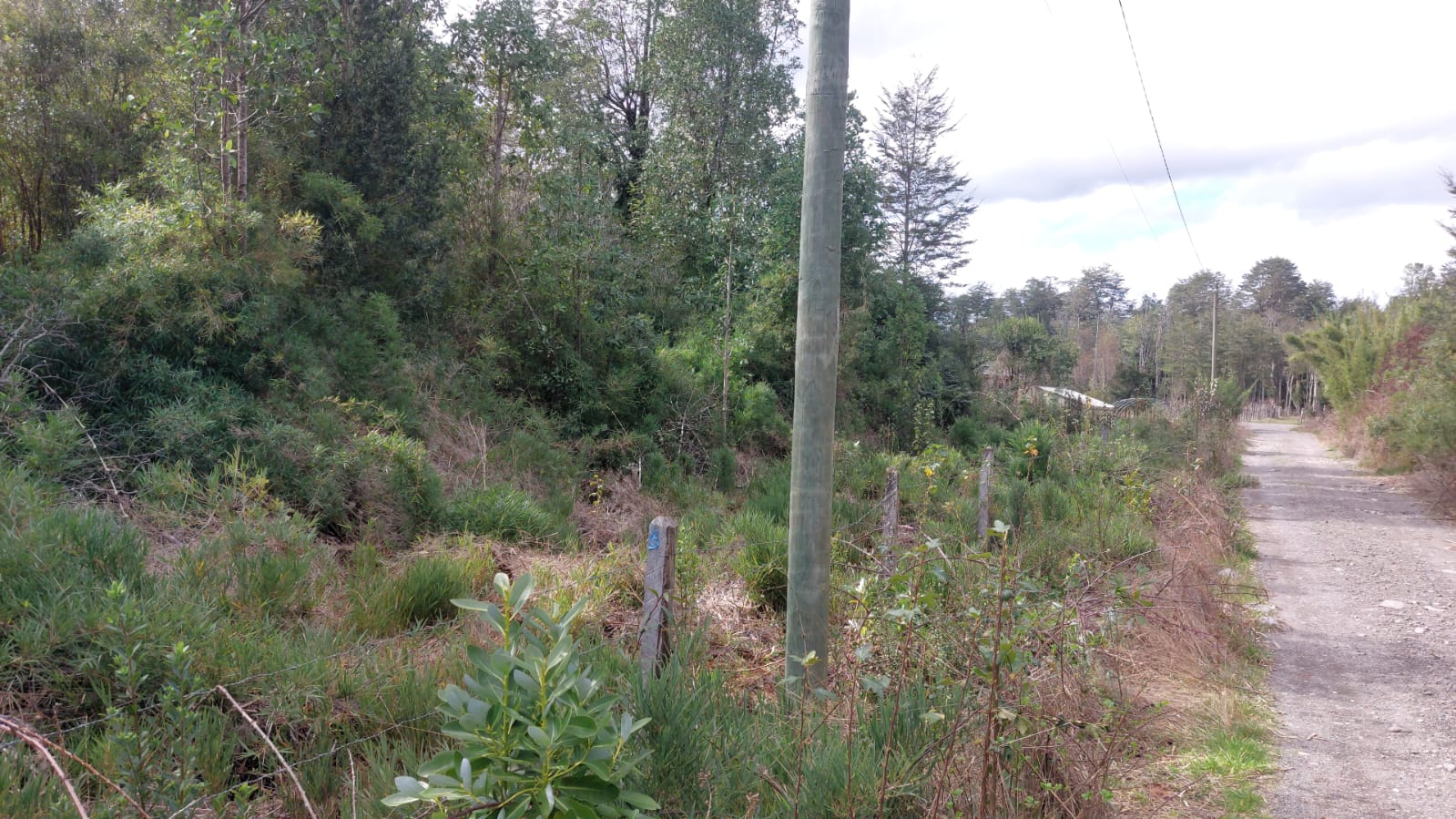 VENTA TERRENO - SITIO 5000MTS LOS LAGOS