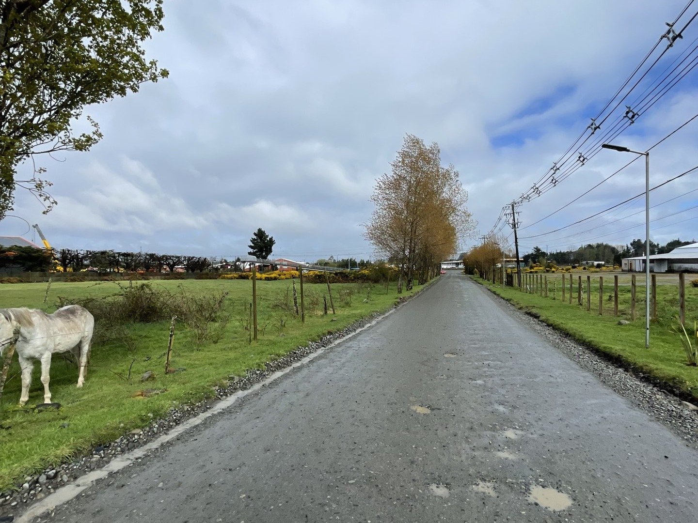 Venta de Parcela 5.000 mts. a pocos minutos del Centro de Puerto Varas