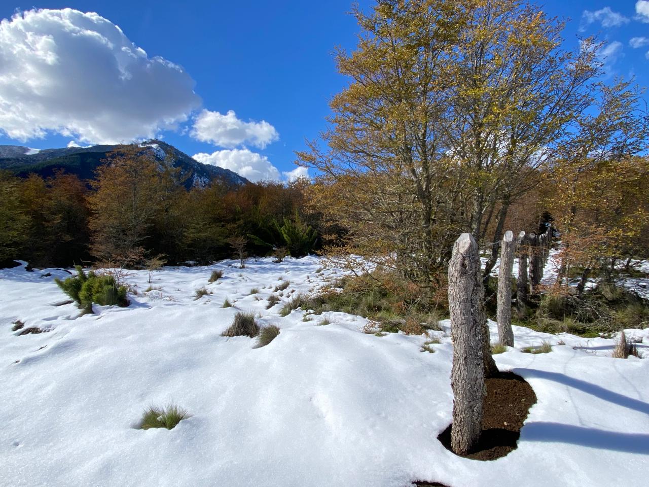 EN VENTAPARCELA 5000M2 EN LOTEO MALALCAHUELLO
