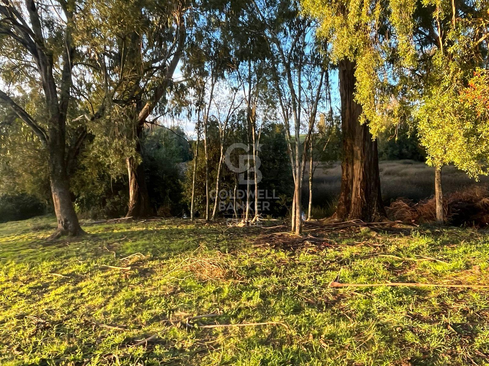 Venta de parcelas en loteo La Unión.