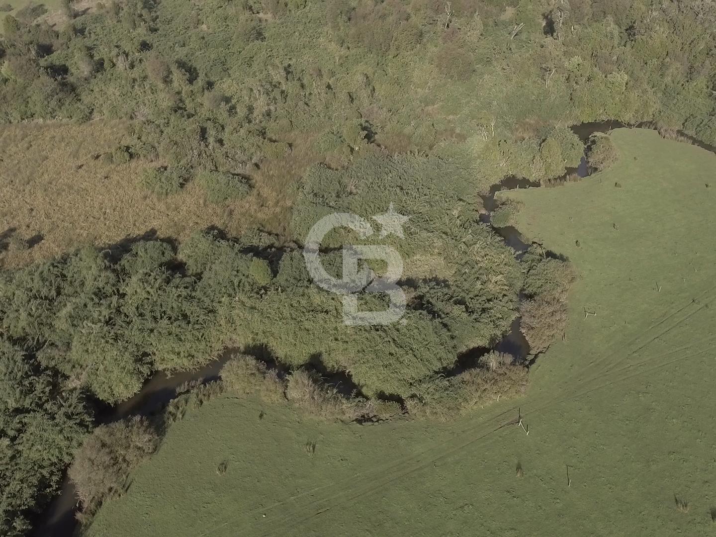 Venta de dos terrenos (suman 97 ha) cerca de Ancud