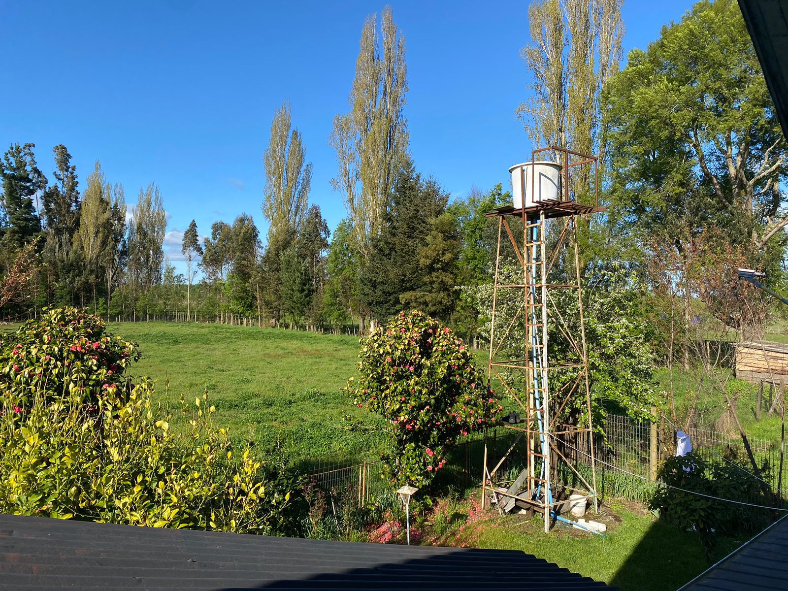 ES TIEMPO DE INVERTIR HASTE DE UNA PARCELA